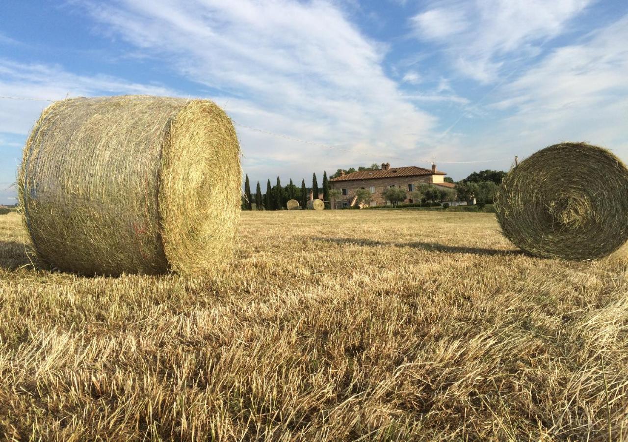 Borgo Solario Vendégház Castiglione del Lago Kültér fotó